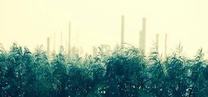 狄仁杰斷案新傳