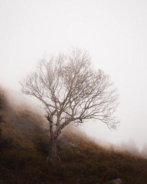 拓展訓(xùn)練“中國(guó)化”的發(fā)展軌跡探析