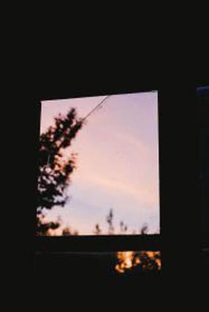 第217章馨曲的去向