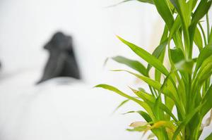 多路增量源源不斷進(jìn)場(chǎng)A股“大盤搭臺(tái)、小盤唱戲”格局正形成