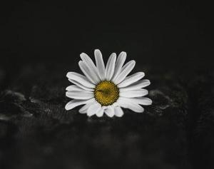 認(rèn)真做自己就好——留在大城市的理由