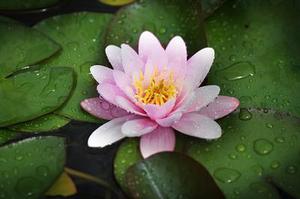 電影 | 有種魔術(shù)會(huì)致命