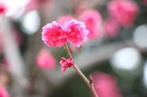 第1143章因?yàn)樗橇诛L(fēng)