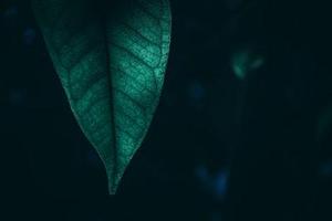 省供銷社進(jìn)一步鞏固深化拓展百日攻堅(jiān)行動(dòng)成果