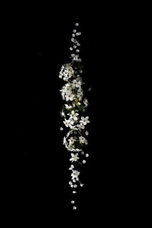 強(qiáng)夯路基連續(xù)檢測(cè)與質(zhì)量控制方法的研究