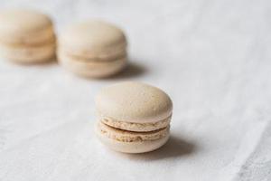 家蠶常用內(nèi)參基因穩(wěn)定性分析及絲蛋白相關(guān)基因表達(dá)調(diào)控研究