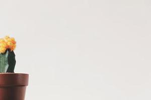 王健專覽銀發(fā)人確?？鞓?lè)方法