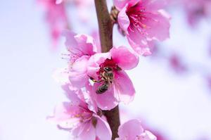 顯現(xiàn)的一抹亮色