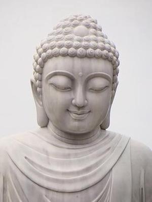 誤入理財訓練營這件事