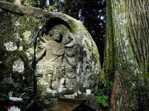 中衛(wèi)市以轉(zhuǎn)型追趕、高質(zhì)量發(fā)展為主線