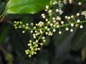 顯現(xiàn)的一抹亮色