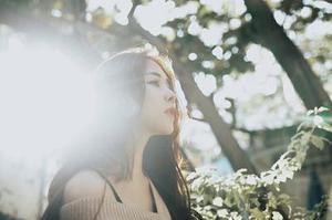 第217章馨曲的去向