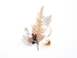 YYModel源碼解析（二）YYClassInfo類