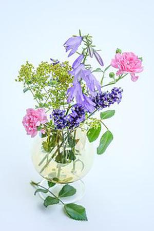 第79章我們是奸商