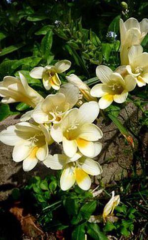 把肖戰(zhàn)放在首位，不跟風(fēng)意見領(lǐng)袖，尊重原創(chuàng)，肖戰(zhàn)粉絲這次能做到