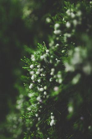 基于遺傳算法的小波神經(jīng)網(wǎng)絡(luò)溫度補償模型