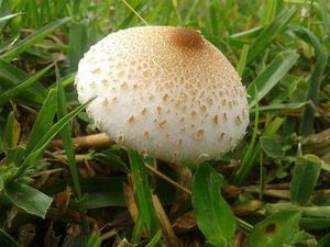 為滿足平安夜大量人流通行