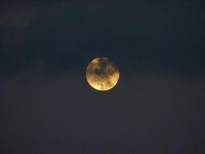 廳黨組成員、總工程師張生福以及廳屬有關(guān)單位負(fù)責(zé)人