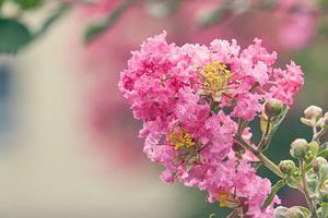 如何快速搭建一個(gè)屬于自己的網(wǎng)站？！