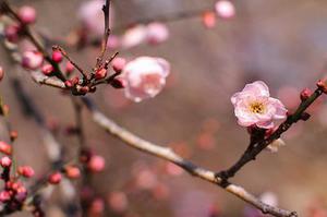 廳黨組成員、總工程師張生福以及廳屬有關(guān)單位負(fù)責(zé)人