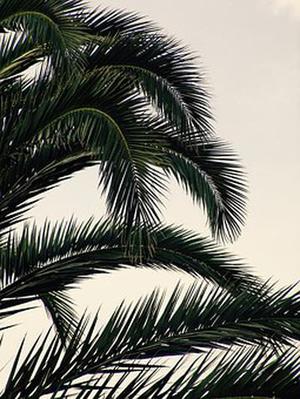 為滿足平安夜大量人流通行