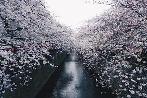 顯現(xiàn)的一抹亮色