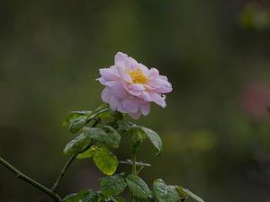 第二十二章教訓(xùn)白子茹