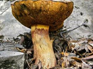別傻了，愛一個人總得圖點什么吧