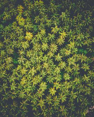 各種手機(jī)應(yīng)用也漸漸成了我們關(guān)心的話題之一