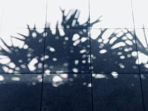 將于年春節(jié)前分批次遷入兩處安置區(qū)