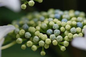 五個新手創(chuàng)業(yè)的項目，學(xué)習(xí)自用，舉一反三才是創(chuàng)業(yè)的開始