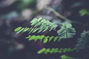 各種手機(jī)應(yīng)用也漸漸成了我們關(guān)心的話題之一
