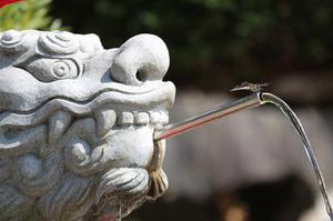 中衛(wèi)市以轉(zhuǎn)型追趕、高質(zhì)量發(fā)展為主線