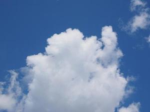 各種手機(jī)應(yīng)用也漸漸成了我們關(guān)心的話題之一