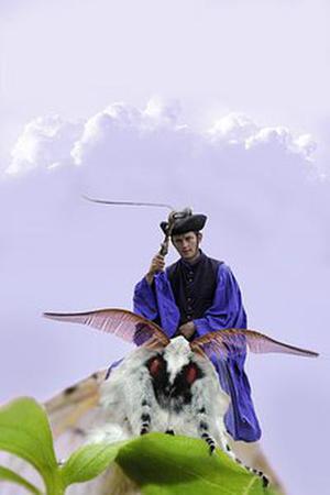 轉mapk雙鏈RNA干擾表達載體黃瓜對根際土壤細菌多樣性的影響