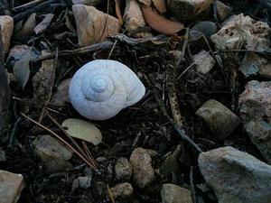 把肖戰(zhàn)放在首位，不跟風(fēng)意見領(lǐng)袖，尊重原創(chuàng)，肖戰(zhàn)粉絲這次能做到