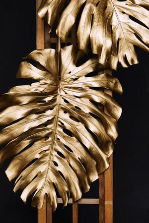 把肖戰(zhàn)放在首位，不跟風(fēng)意見領(lǐng)袖，尊重原創(chuàng)，肖戰(zhàn)粉絲這次能做到
