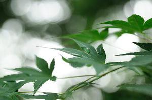 比設(shè)備更要比技術(shù)――貴州省公路局舉行交通戰(zhàn)備演練暨瀝青路面養(yǎng)護(hù)比武