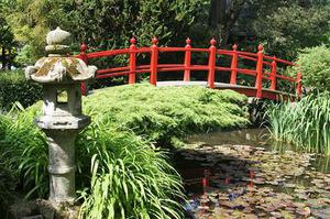 鳳岡縣茶葉出口達(dá)萬(wàn)元