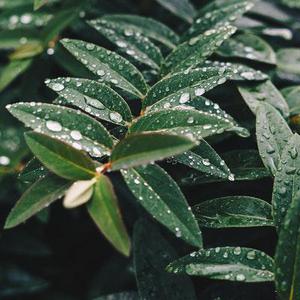 顯現(xiàn)的一抹亮色