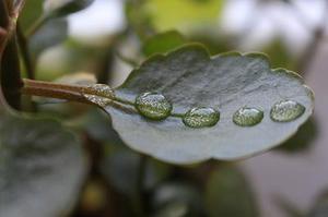 分層教學(xué)法在小學(xué)英語教學(xué)中的應(yīng)用