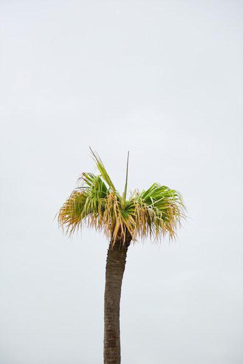 彩典寶典日志大廳