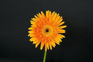 第377章告狀