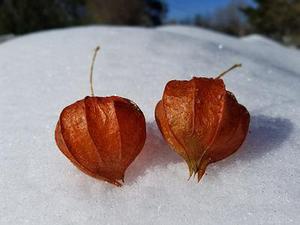 這屆奧運(yùn)會(huì)，有支隊(duì)伍沒(méi)有國(guó)旗沒(méi)有國(guó)歌，卻受到全世界矚目
