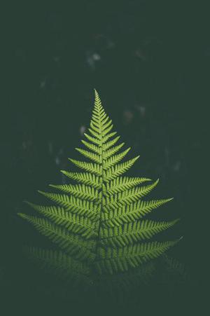 廳黨組成員、總工程師張生福以及廳屬有關(guān)單位負(fù)責(zé)人