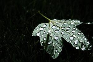 第79章我們是奸商