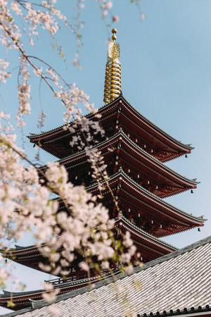 中衛(wèi)市以轉(zhuǎn)型追趕、高質(zhì)量發(fā)展為主線