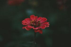 第79章我們是奸商