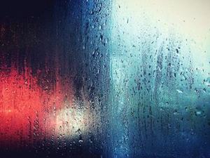 【影像隨筆】貓鏡子