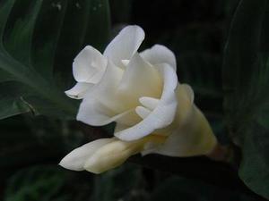 中衛(wèi)市以轉(zhuǎn)型追趕、高質(zhì)量發(fā)展為主線